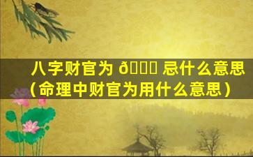 八字财官为 🐝 忌什么意思（命理中财官为用什么意思）